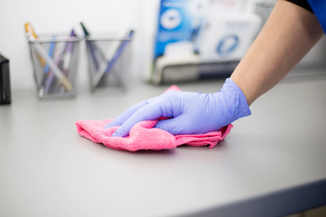 cleaning services hamilton & toronto the beaches